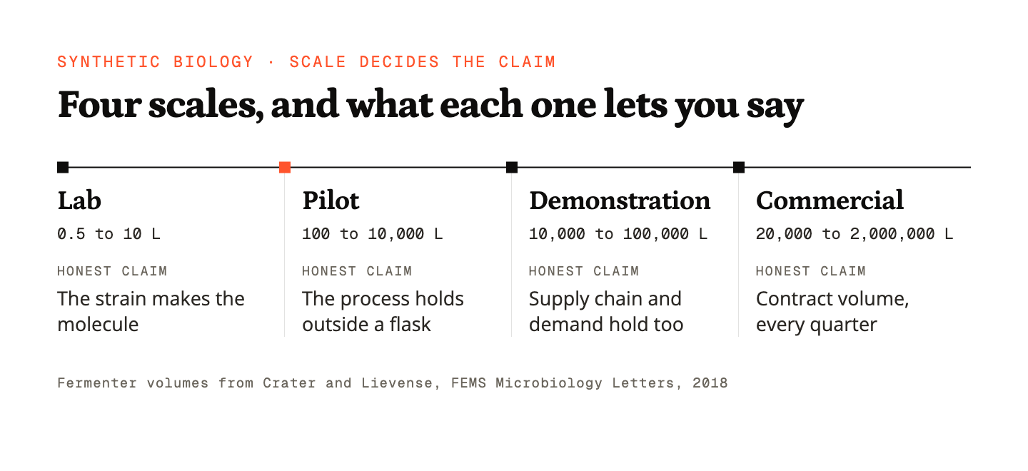 Four fermentation scales from lab to commercial, each with its volume range and the claim that stage honestly supports
