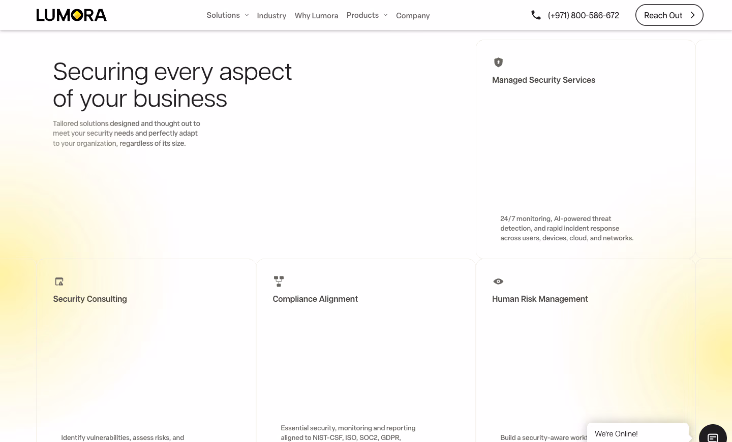 Lumora Security website, securing every aspect of the business